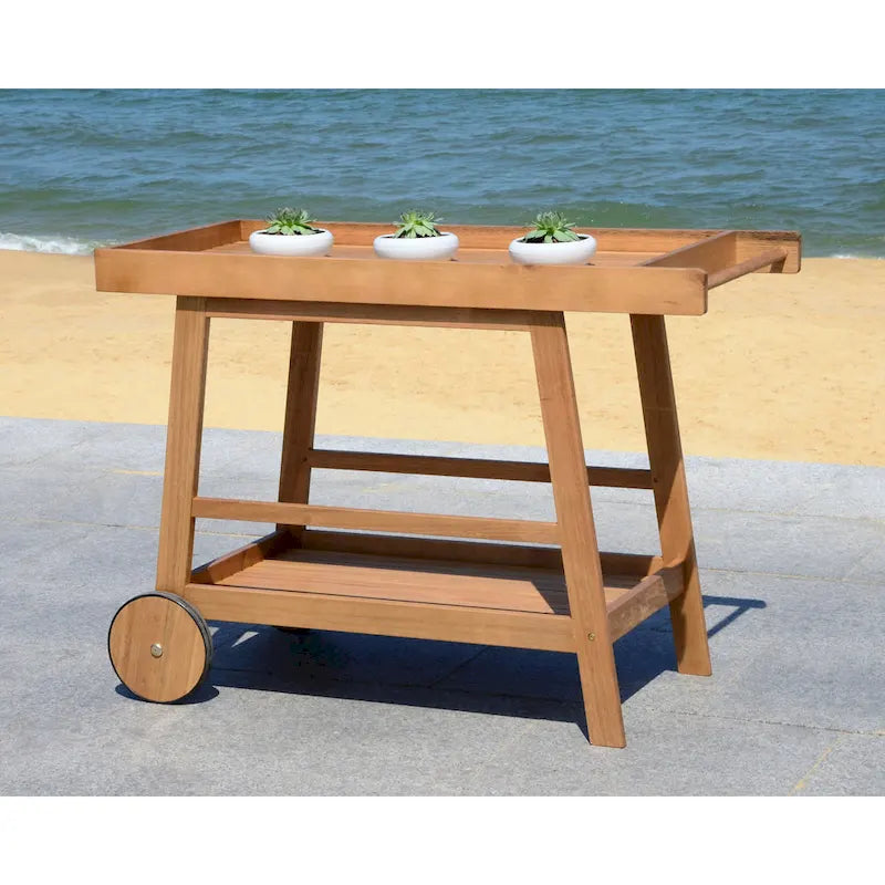 SAFAVIEH Outdoor Hayleigh Bar Cart - 48Wx20Dx32H