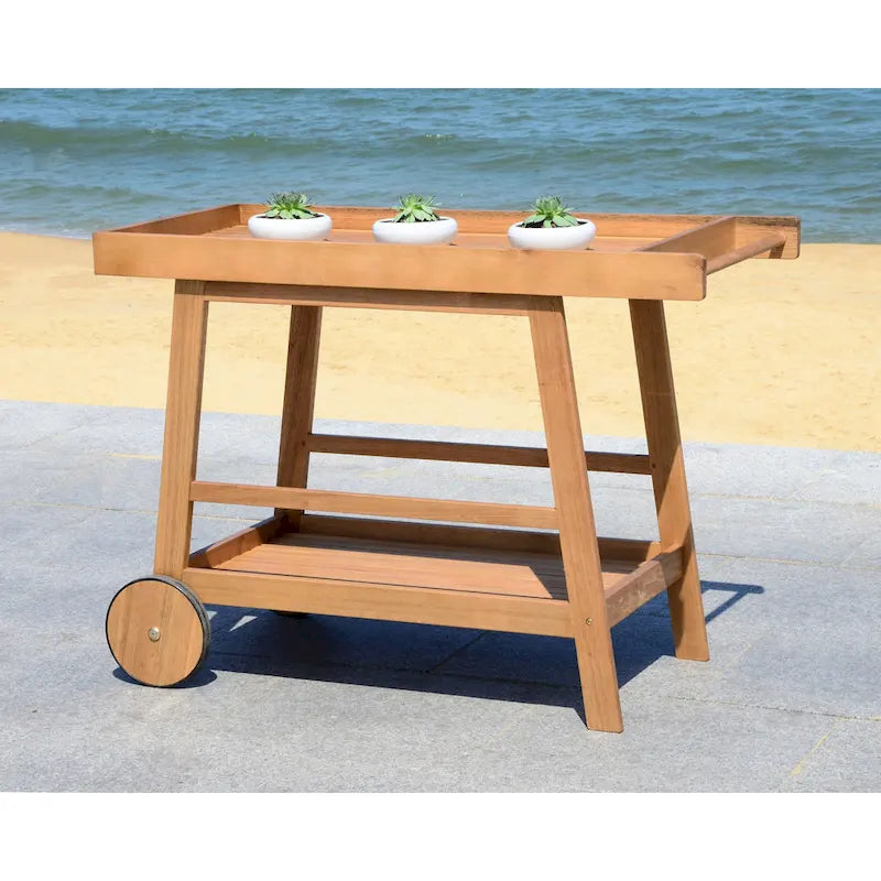 Brown / White / Black / Grey Eucalyptus Wood Indoor Outdoor Bar Cart, 1-Tier, 48"W x 20"D x 32"H