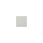 Grey Resin Wicker Outdoor Swivel Dining Chair with Cushion, Set of 2