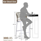Outdoor Bar Height Stool with Cushion, Set of 2 (Stone Gray / Dark Gray / Brown / White)